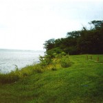 Phineas Bird Nauvoo property Blk 4