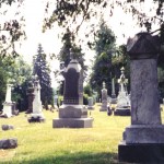Springfield__New_York_Cemetery