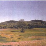 Robert Kennedy land #2
